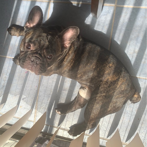 Meet your Posher, Jka - Picture 2 of 2